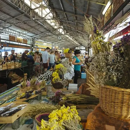 Les Violettes 3 Pieces Centre 昂蒂布