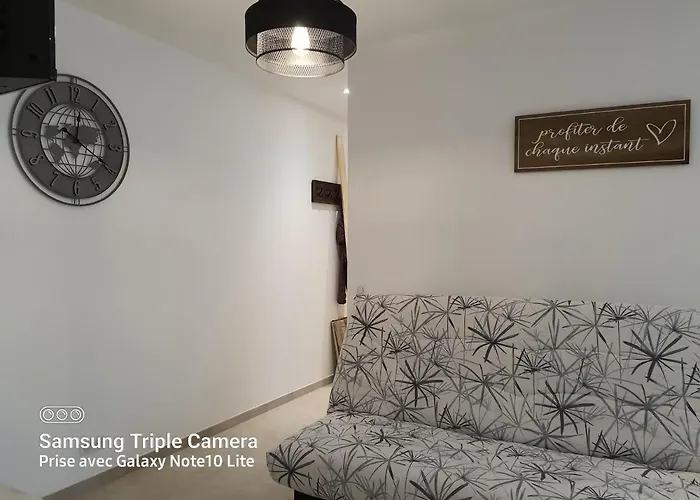 公寓 Les Violettes 3 Pieces Centre