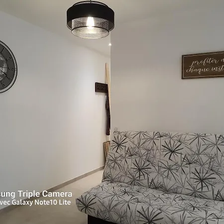 Apartment Les Violettes 3 Pieces Centre