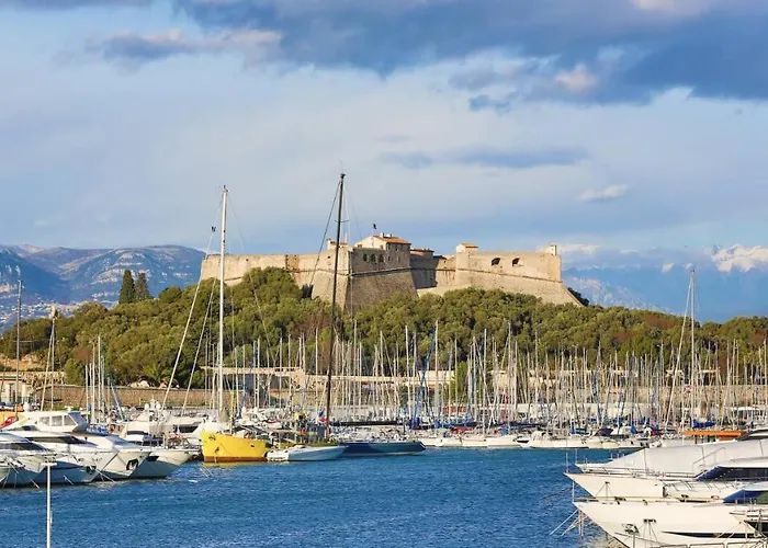 公寓 Les Violettes 3 Pieces Centre 昂蒂布