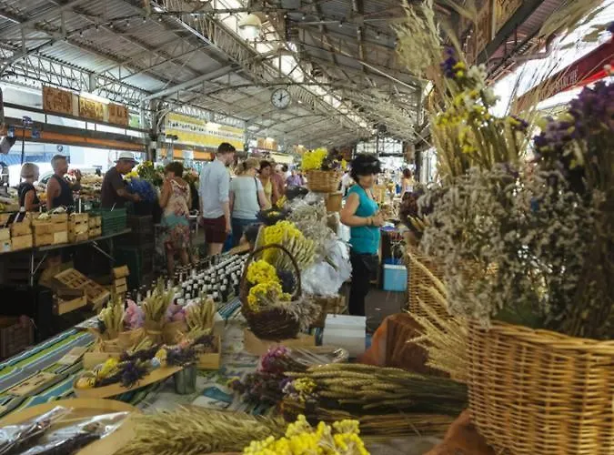 Les Violettes 3 Pieces Centre 昂蒂布